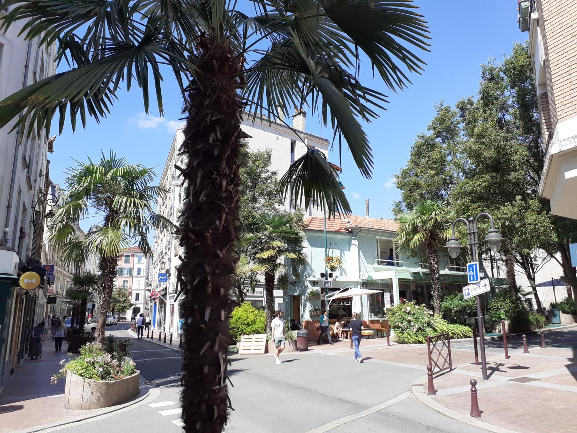 Maison Individuelle Avec Terrasse Nogent Sur Marne 外观 照片
